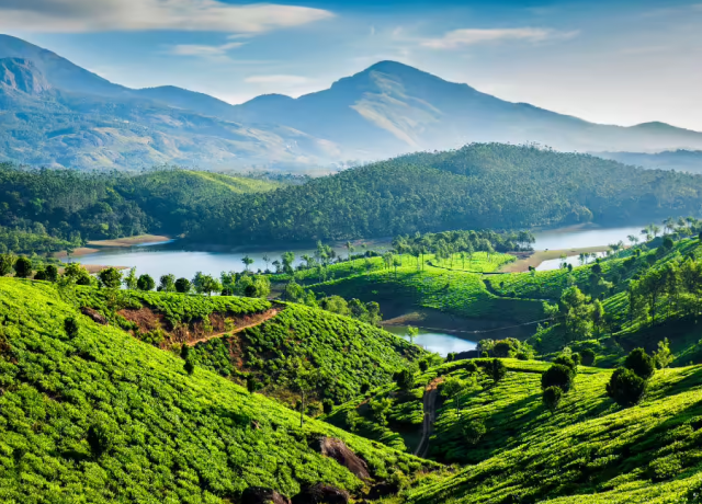 Kerala Backwater Bliss - Alleppey &bull; Munnar &bull; Kochi